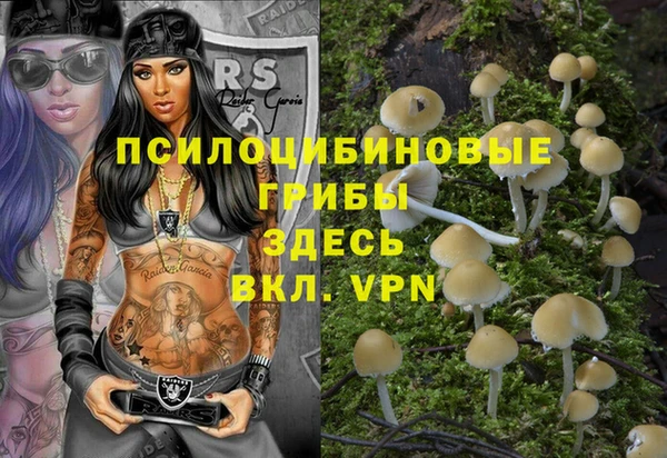 мефедрон Снежногорск